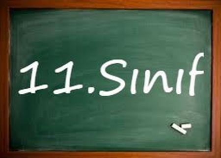 Kategori İçin Resim 11. Sınıf